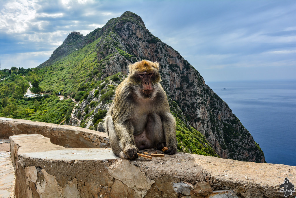 Pic des Singes Pic des Singes